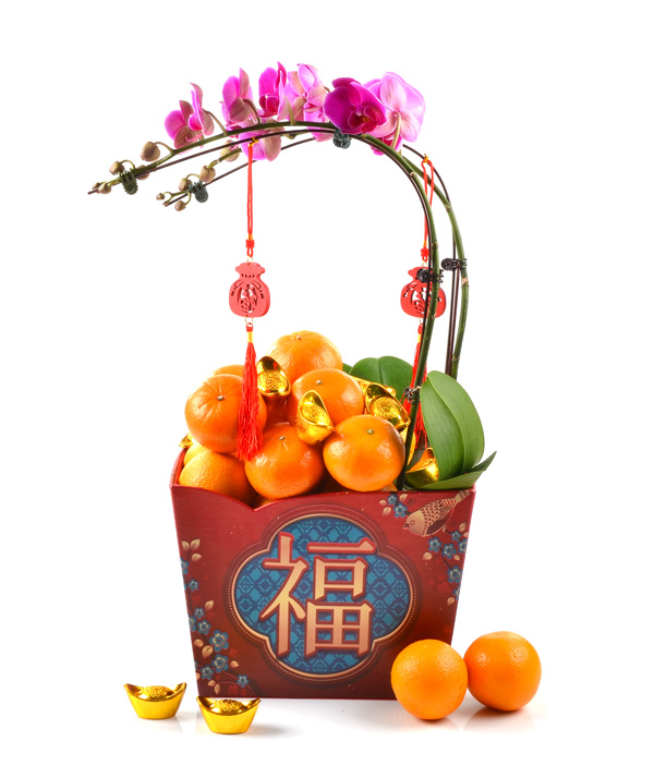 9120-Mini Orchids+12 Mandarin Oranges